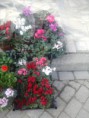 /album/foto%c4%9fraflar%3a-anasayfa/a20140223-094730-jpg/