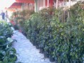 /album/foto%c4%9fraflar%3a-anasayfa/a1375164-169928746544264-994902481-n-jpg/
