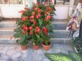 /album/foto%c4%9fraflar%3a-anasayfa/a1380701-169928873210918-76218117-n-jpg/